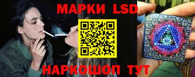 стаф Сланцы