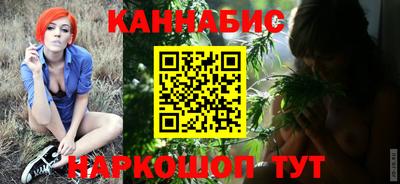 стаф Сланцы