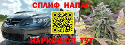 стаф Сланцы