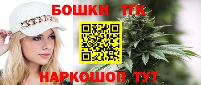 стаф Сланцы