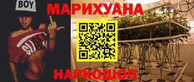 стаф Сланцы