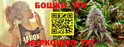 стаф Сланцы