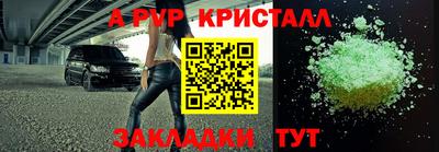 стаф Сланцы