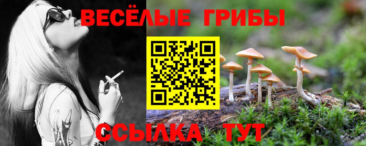 ГАШ  Экстази  Канабис  Мефедрон кристаллы  ГАШИШ  Вход с VPN  Псков  COCAIN 
