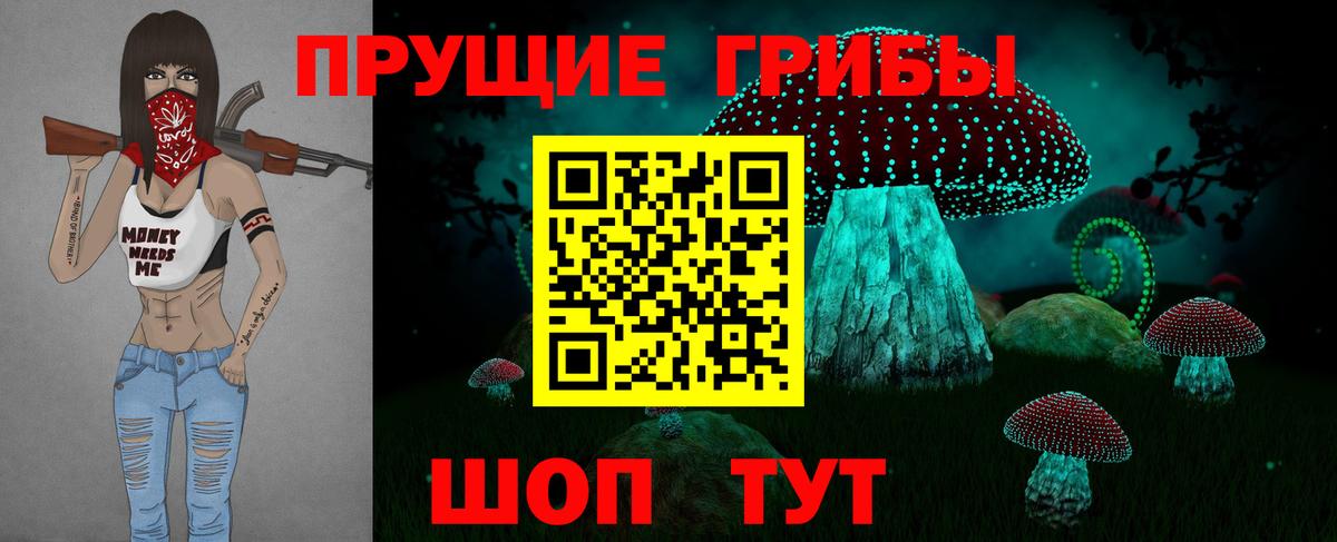 Псков  Галлюциногенные грибы GOLDEN TEACHER  что такое наркотик  Вход с VPN 